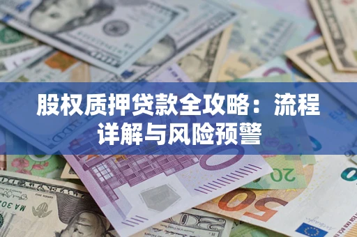 北京股权质押贷款全攻略：流程详解与风险预警