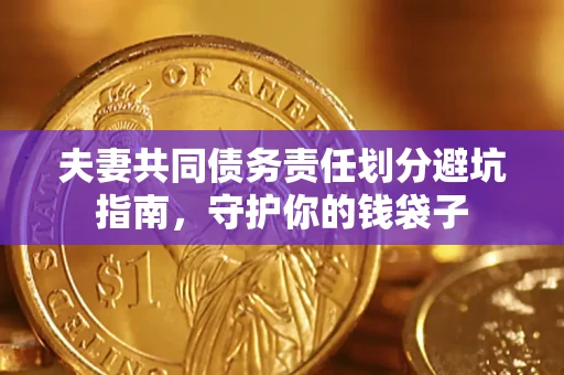 北京夫妻共同债务责任划分避坑指南，守护你的钱袋子