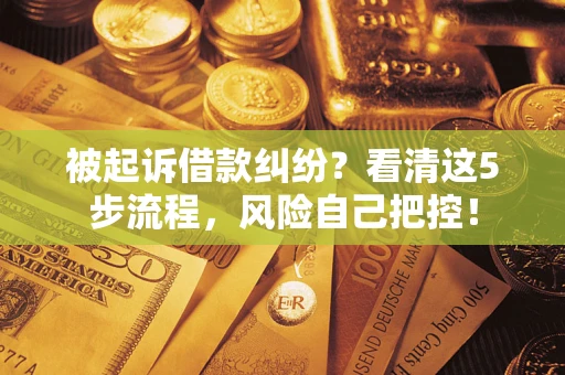 北京被起诉借款纠纷？看清这5步流程，风险自己把控！